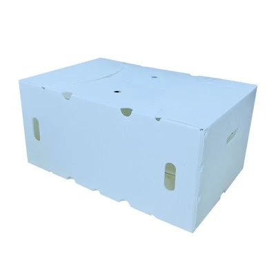 PP Logistiek Omzetdozen